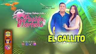 EL GALLITO  PASION NORTEÑA  PRIMICIA 2024 [upl. by Wyatan]