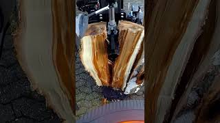 Holz Spalten mit 20t  Jansen HS20H110 [upl. by Azral]