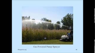 GLPC  Phragmites Control for Homeowners and Land Stewards [upl. by Terryl]