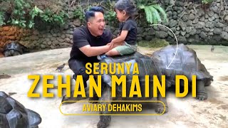 Main di aviary deHakim part2 [upl. by Mae]