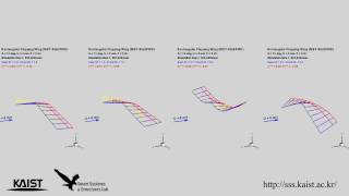 Flappingwing aeroelastic analysis considering wing flexibility [upl. by Thane]