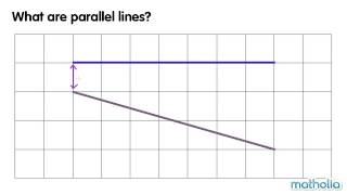 Parallel Lines [upl. by Anabelle]