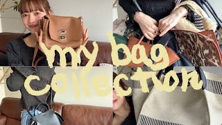 【愛用バッグ紹介】気づいたら17個もありました！my bag collection [upl. by Eelyahs541]