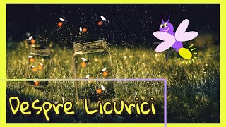 Lumea Magica a Licuricilor  Despre Licurici  Curiozitati despre Licurici [upl. by Aubrie]