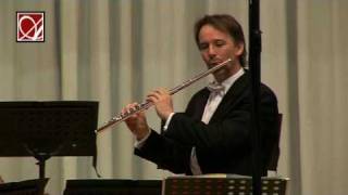 Pergolesi flute concerto Gmajor 2  Reimann  Amadeus Kammerorchester Dortmund [upl. by Yleme]