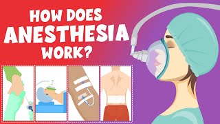 How does anesthesia work  Types of anesthesia  Video for Kids  Learning Junction [upl. by Cormier]