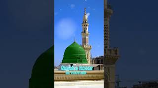 Surat e kosaur  restation of hloyquran  holeyquran youtube skyoutube [upl. by Sisson457]