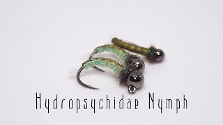 Hydropsychidae Caddis nymph [upl. by Ilohcin122]