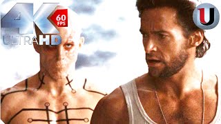 Wolverine amp Sabretooth vs Deadpool  Fight Scene  X Men Origins Wolverine 2009 MOVIE CLIP 4K [upl. by Anahsed]