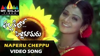 Pallakilo Pellikuthuru Video Songs  Naa Peru Cheppukondi Video Song  Gowtam Rathi [upl. by Lisabeth842]