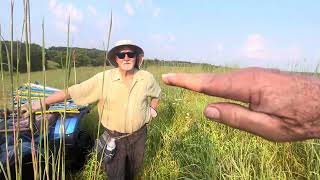 Big Bluestem perennial warm season grass along with Korean lespedeza is a homerun in summer heat [upl. by Ainola703]