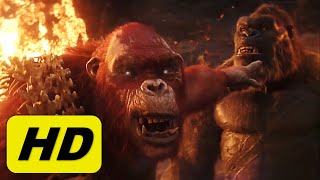 Kong meets Skar King  Full Scene HD  Godzilla x Kong The New Empire [upl. by Ecyak]