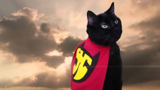 Super Hero Cat Official Music Video  N2 the Talking Cat S2 Ep18 [upl. by Ali]