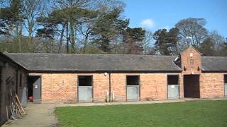 Croxteth Park Riding Centre stables [upl. by Aneloj239]