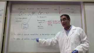 Investigating Catechol Oxidase Activity [upl. by Kean]