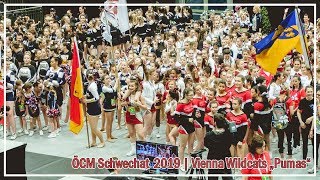 ÖCM Schwechat 2019  Vienna Wildcats Pumas [upl. by Torrence]