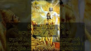 Bhagavad Geetha Shloka  10 Bhagavad Gita [upl. by Ellehcen]