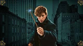 Soundtrack Fantastic Beasts 2  The Crimes of Grindelwald Theme Song  Epic Music  Musique [upl. by Gaudette481]