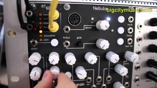 QuBit RT60 Eurorack DSP FX [upl. by Sesylu]