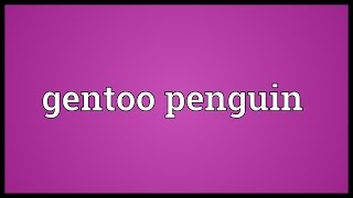 Gentoo penguin Meaning [upl. by Hiram]