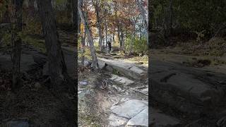 My favorite tech trail at the bike park 🔥 mountaincreeknj [upl. by Doowle]