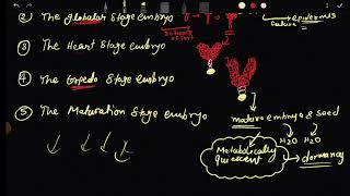 Embryogenesis establishment of symmetry in plant csir net life sciences development bio [upl. by Jeralee18]