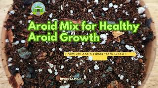 Aroid Mix and More Perfect for Your Plants  Green Barn Orchid [upl. by Richma]