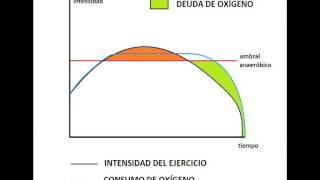 El consumo de óxigeno en los deportes de resistencia [upl. by Apple]