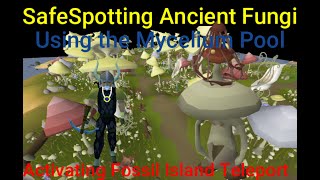 OSRS Ancient Fungi Safespot and Mycelium Pool [upl. by Nostaw]