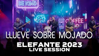 Llueve sobre Mojado ELEFANTE 2023 Live Session [upl. by Ellesirg]