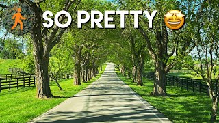 Most Beautiful Drive in America Kentucky Horse Country Backroads  4K Dashcam [upl. by Rehpotsrhc]