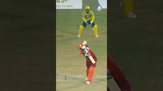 Stallions Boundaries  Lions vs Stallions  Match HL  Watch Champions Cup 2024 on Tamasha [upl. by Saber]