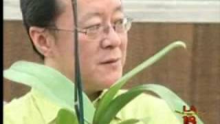 蘭花  如何照顧蘭花 How to take care orchids [upl. by Carnes]