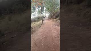 NOSY SOA PARK🙊🙈🙉 comedyvideos nosy [upl. by Meikah]