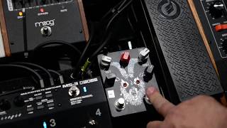 Fuzzrocious Pedals quotBongripper Parallel Distortion V2quot Bass guitar Demo [upl. by Hanoy]