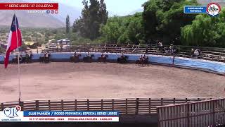 1° SERIE LIBRE  Rodeo Club PAIHUÉN ASOC PETORCA  Medialuna Paihuén Cabildo 16 y 17 Nov 2024 [upl. by Suanne]