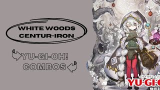 YuGiOh White Woods CenturIron Combos 2024 20 Post Infinite Forbidden White Forest Combos 2024 [upl. by Elaine336]