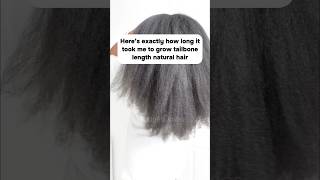 Here’s exactly how long it took to grow tailbone length hair 🌱 naturalhairjourney haircare [upl. by Maice700]