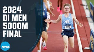 Mens 5000m final  2024 NCAA outdoor track and field championships [upl. by Nuahsyd]