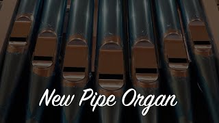 Organ  Fine Tuning and Reed Stops [upl. by Leuamme]