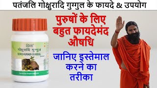 Patanjali Divya Gokshuradi Guggul Tablets Benefits amp Review in Hindi  फायदे और उपयोग [upl. by Adirf973]