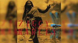 Shalom Salaam  Ziggy Marley  DRAGONFLY [upl. by Nilcaj]