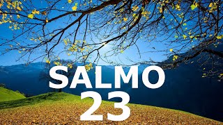 SALMO 23 PODEROSA ORAÇÃO DE HOJE  eVIVA [upl. by Seidel]