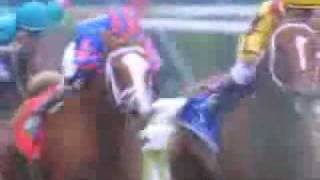 Horse Racing  Photo Finish [upl. by Thia]