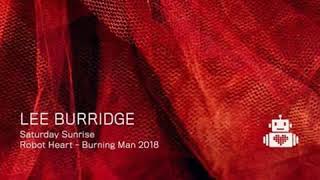 Lee Burridge  Robot Heart  Burning Man 2018 [upl. by Akinom]