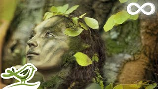 Dance of Life Relaxing Celtic Music for Meditation amp Sleep by Peder B Helland [upl. by Ahker]