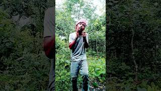 assamese song  kusum kailash  shorts assamese youtubeshorts kusumkailash status viral [upl. by Enyledam]