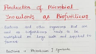 Mass Cultivation of microbial inoculent to use them as Biofertilizer [upl. by Mikkanen]