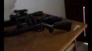 Rifle Crosman TAC 1 Extreme [upl. by Serilda]