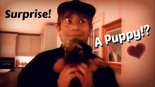 Elton John Gets A Puppy [upl. by Yennep]